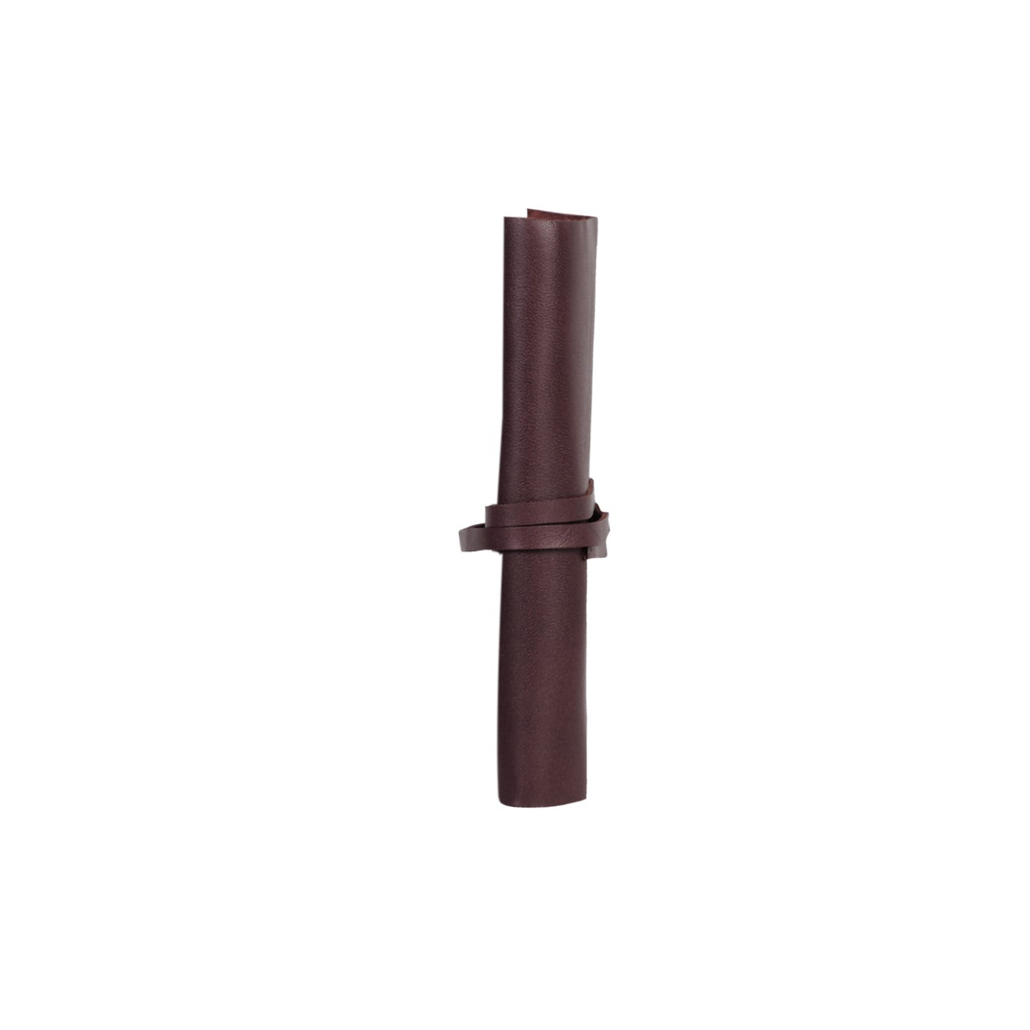 Project 52 Case (Double Deck)- Burgundy