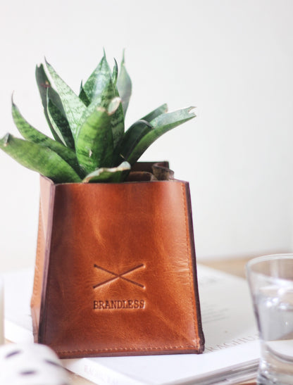 gift set leather organiser desk tray plant case home decor